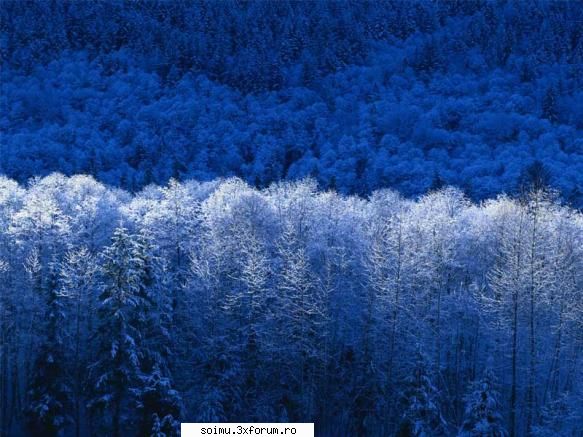 dar mie numi merge dc [fb]gta vice city mamaia