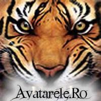 parola cv nu cere ?
 ;) [netdrive] delta force: xtreme